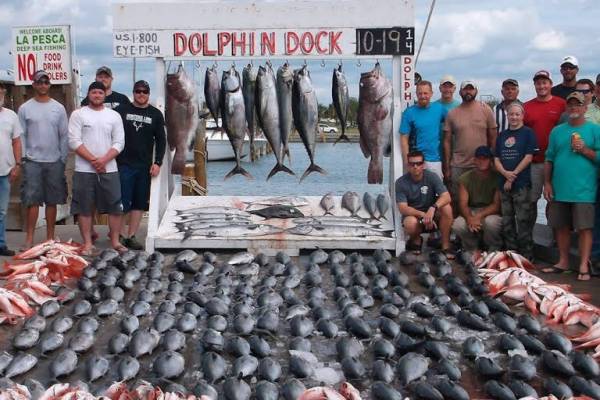Dolphin Dock Port Aransas