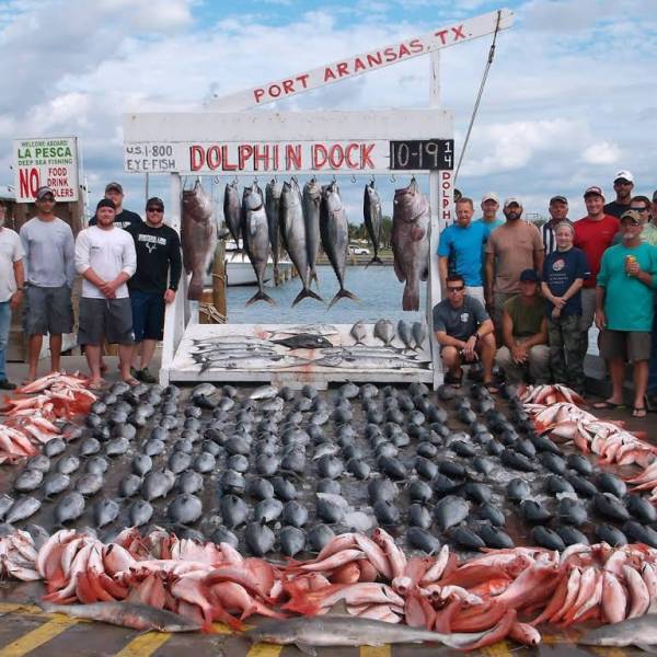 Dolphin Dock Port Aransas